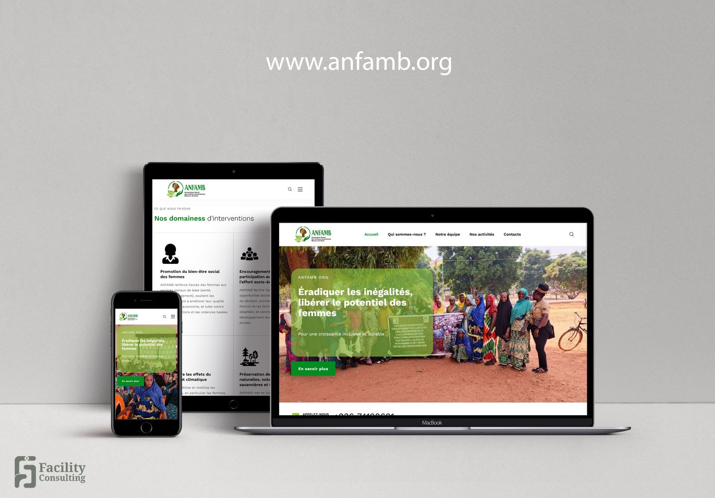 Création du site web de anfamb